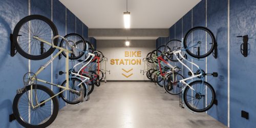 BICI-VISTA
